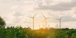 wind mills